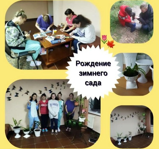 Рождение зимнего сада