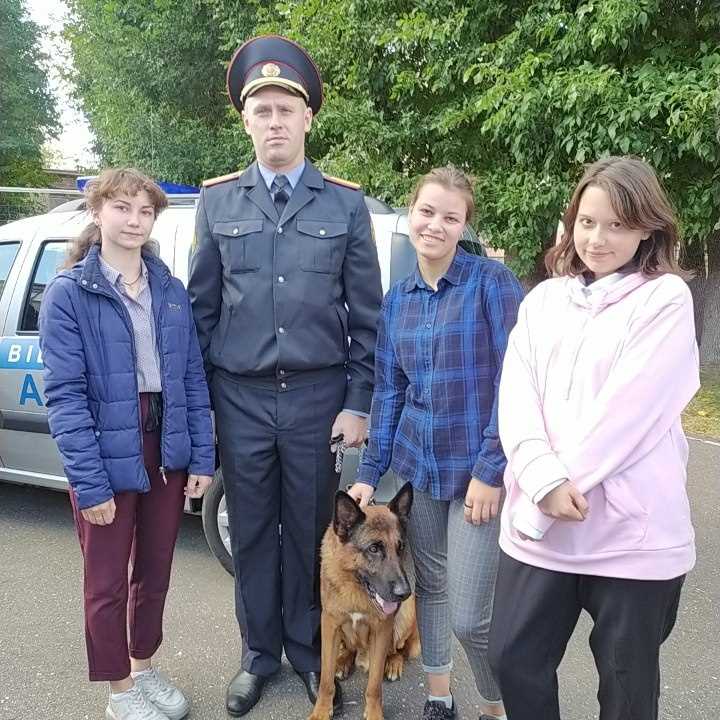Свет